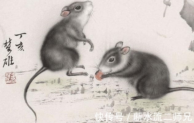 生肖|未来1天,运势四聚,财来运转,顺利熬出头的3生肖