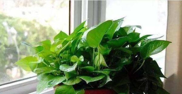 装修|装修完能不能直接开窗通风听听老师傅的经验，太多人做错！