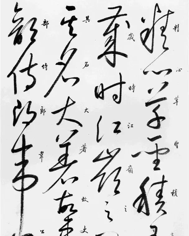 在线条@启功的草书也不错,笔法精湛,线条匀净,粗细均匀,是“硬功夫”