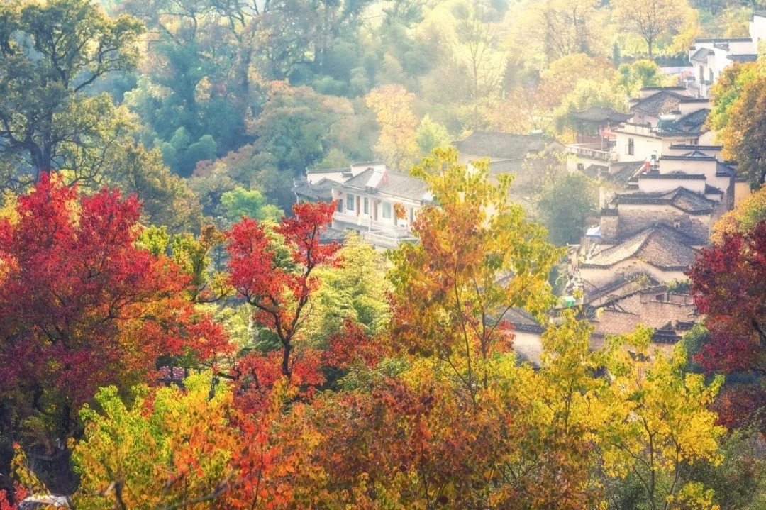 稻城亚丁|最适合出游的时节，10处中国最“色”的秋，你一定会被它所惊艳