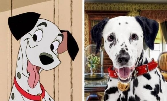 动画片|动画片中的角色，“猫和老鼠”之神的化身，小猪佩奇的化身