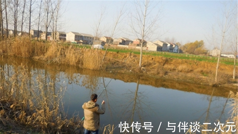 秋末冬初，黄颡鱼还能钓几波，用这饵料和钓法，少有空军的时候