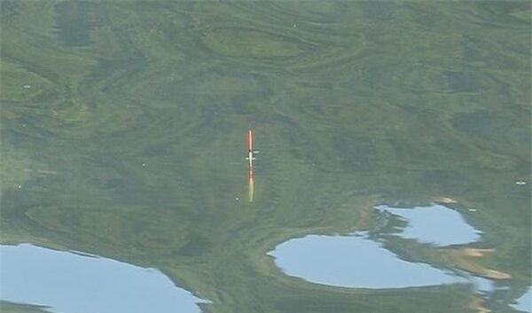 钓友|带饵调漂的优势,这种调漂方法公认最科学,肯定是有道理的