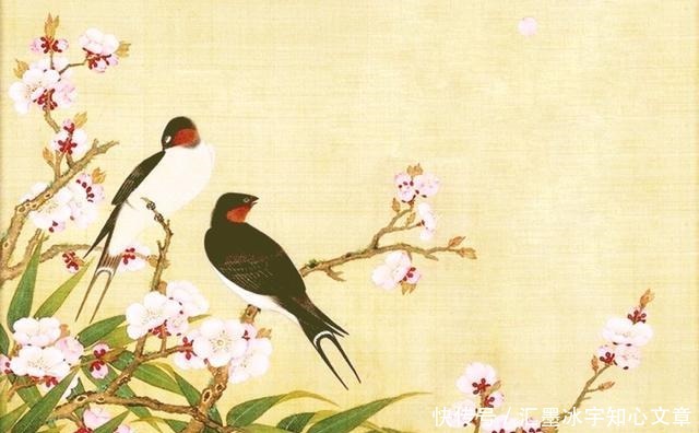 花无百日红|梁间燕共何人语庭下花无百日红