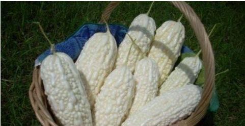 吃苦味|炒苦瓜时,要不要焯水去苦味?以下这种方法,炒出来清香可口