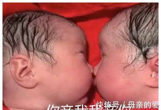 尿不湿|龙凤胎兄妹出生后一直亲,护理人员都没办法分开,画面太暖心了