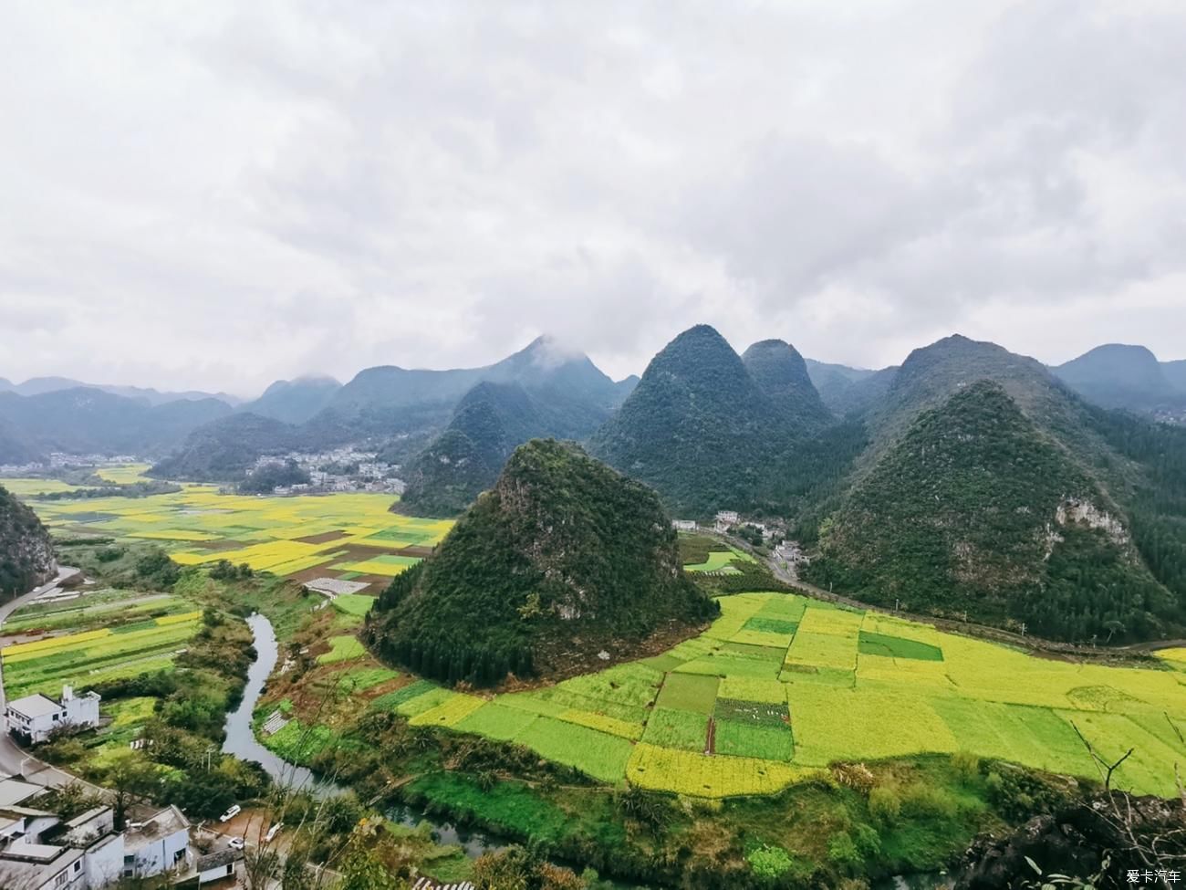 天下山峰何其多，唯有此处峰成林