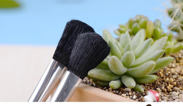 花叶子太脏了，哪哪都是灰，学会此招，养一屋子都不愁