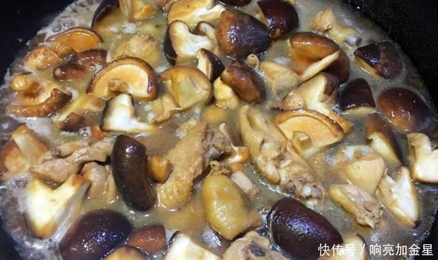 万万不可|炖鸡时,万万不可直接炖,多做两步,鸡肉鲜香入味,不腥不柴