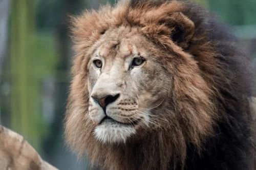 最潮流发型，你pick哪一个？