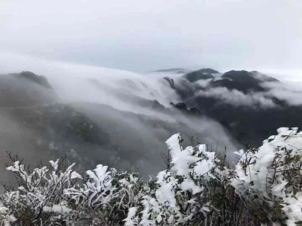 武鸣大明山化身“冰雪世界”， 雾凇云瀑美如仙境！