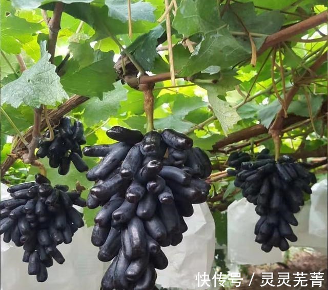 非常解馋的几道家常菜,荤素搭配营养美味,香到多吃碗米饭!