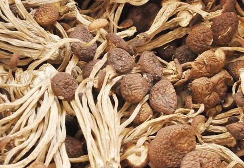 乳腺增生的“天敌”，女人常吃，调节雌激素，增生或许慢慢消失