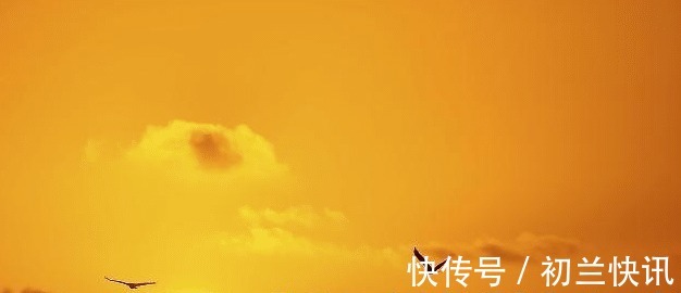 鲲和鹏$庄子他的“两条鱼”讲透了人生真谛,让你明白什么是“真人”!