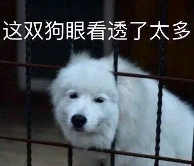 NPC|骚话连篇！盘点游戏里那些骚断腿的NPC台词！你挡得住吗