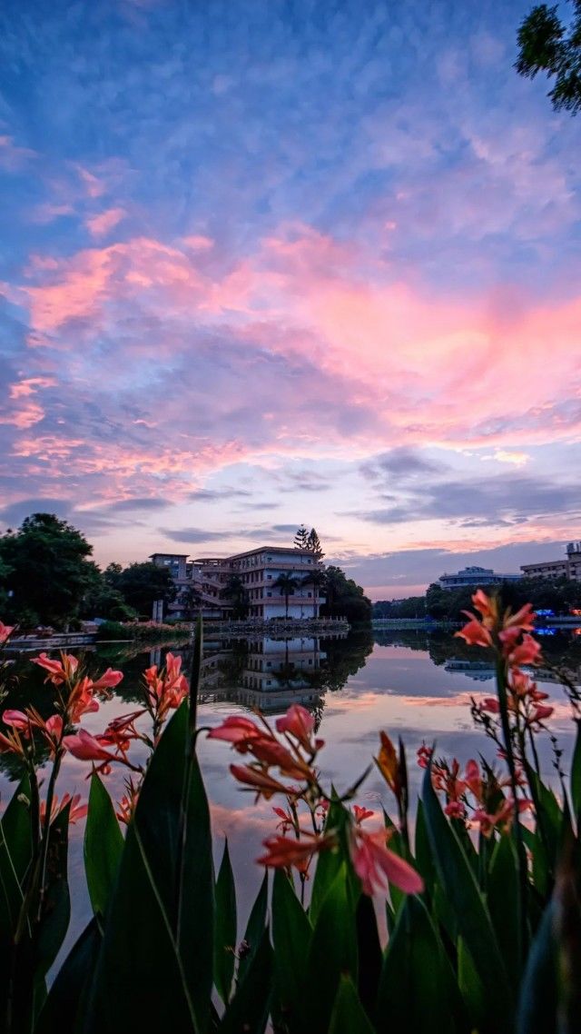 夏至 高校晚霞图鉴：晚霞很浪漫，幸好我们一起看过