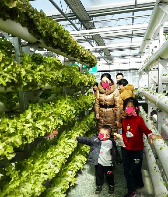 蔬果|宋MAX,感受一下蔬果城堡的寧靜,欣賞彩色的自然