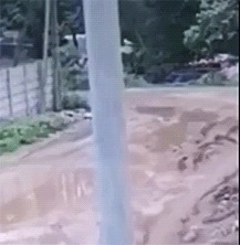 |搞笑车祸Gif:大难临头各自飞!这车头不讲义气啊