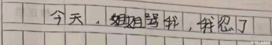 安徽一位姐姐发现弟弟暗藏的“记仇本”,上面写着“我忍了”