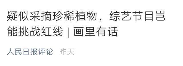 出了事就甩锅嘉宾,难怪从一流节目做成了三流