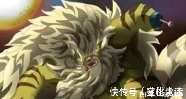 草帽海贼团|海贼王 5只月亮狮子帅气, 佩德罗霸气, 加洛特高冷, 猫蝮蛇肥壮