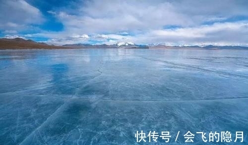 冬天，鱼去哪了