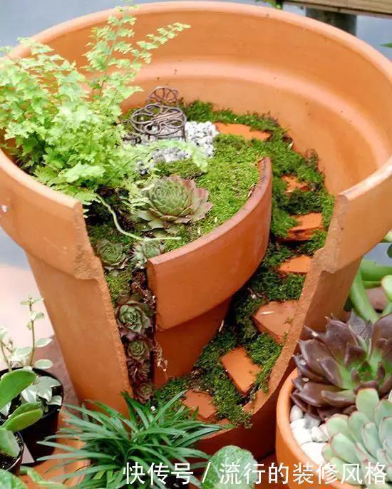 花盆还在买?一找一大堆,1毛钱不花,比买的花盆还要好