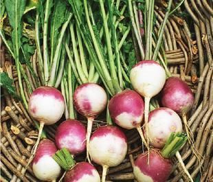 血栓|脑供血不足，跟4个原因脱不了关系，常吃一物，血管通，供血足