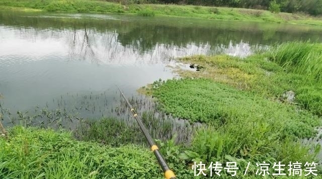 同一个钓位,昨天能连杆今天却空军!背后的原因你知道吗?