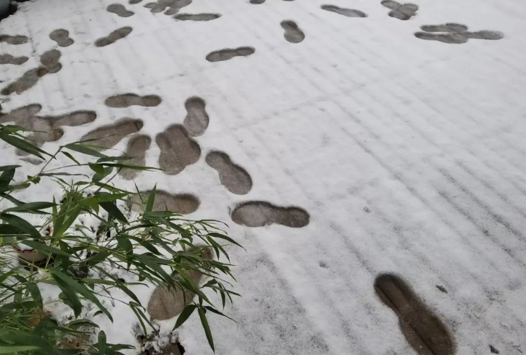 赵建民|临洮今秋第一场雪，比以往来得更早一些……