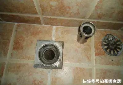 家里卫厕所异味太重，学会这招，一年四季都没有异味，真实用