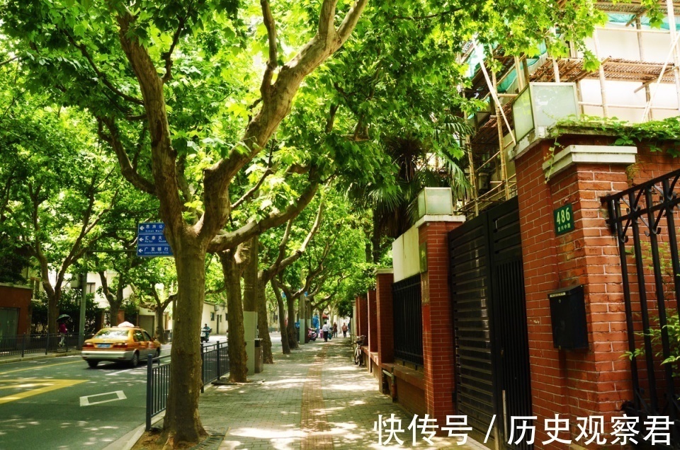 俗话“庭院有四树，不贵也能富”，指的是哪四种树？有何寓意？