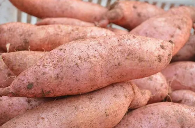 秋天别乱吃,多吃5种食材,顺应时节安稳过秋季,分享菜谱请收好!