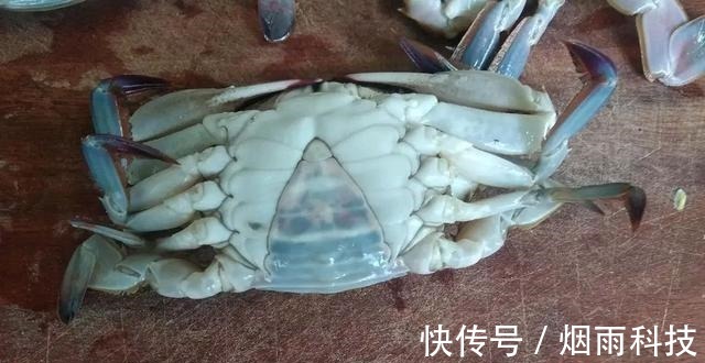 蒸螃蟹,冷水蒸还是热水蒸掌握这3点螃蟹鲜甜不腥还不掉腿!