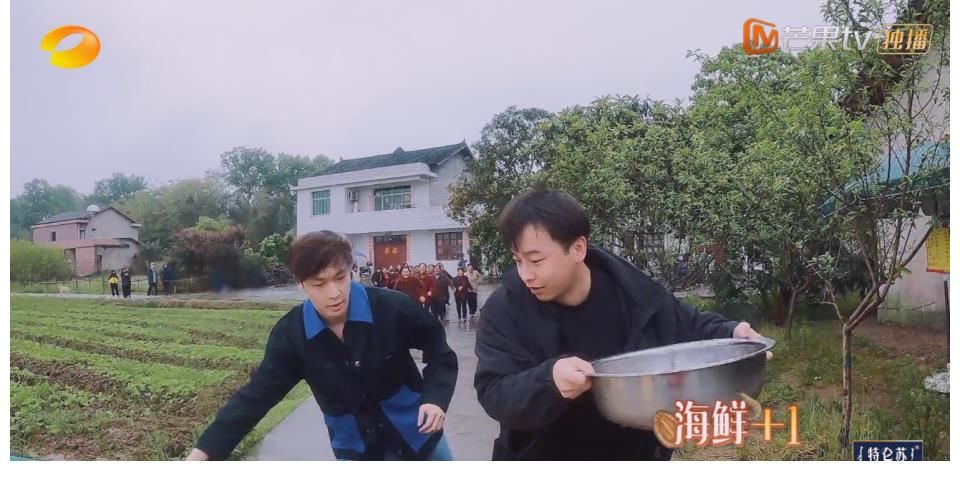 大妈们|《向往5》抢食材名场面：陈赫吆喝，李诞捡漏，只有他俩才是真拼