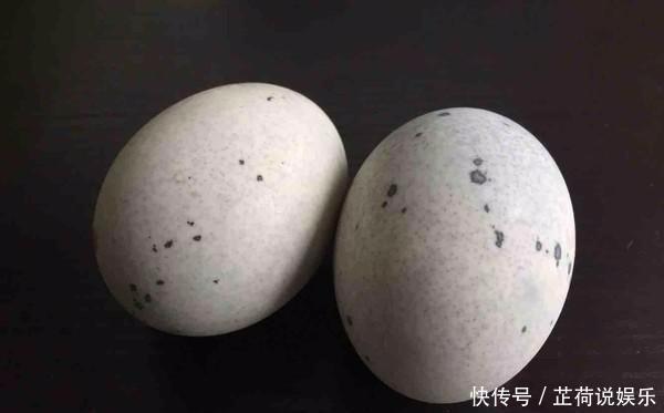 喜欢吃皮蛋的注意，这一步千万不能偷懒，杀菌消毒，家人吃着安心