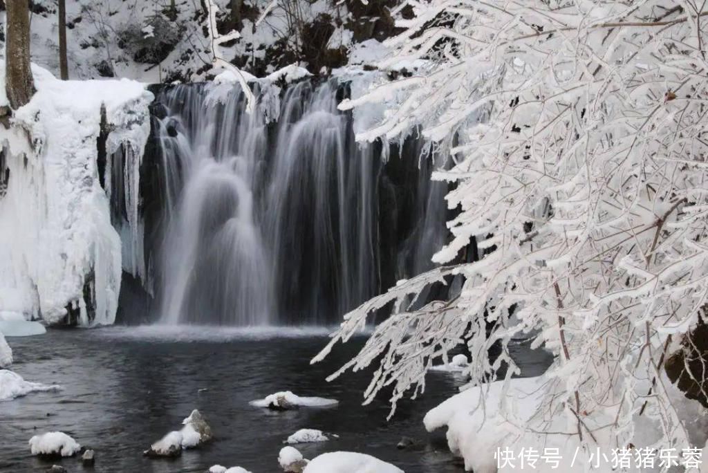 沉淀|入冬而不冻的奇观,来自“冰河”的叮咚优雅