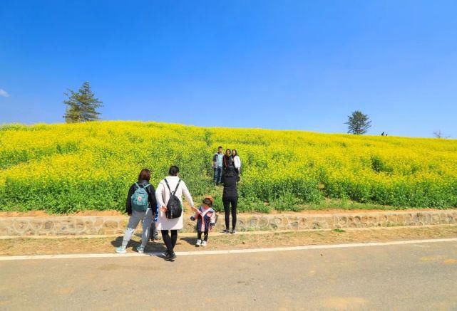 实拍，实拍，4月3日狼牙山万亩花海实拍来啦！