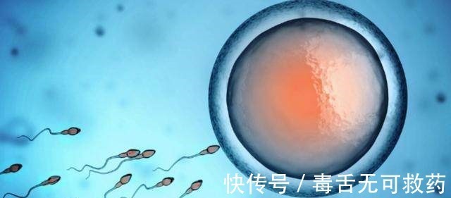 着床|做试管婴儿很简单,只需4步,但其中的痛苦你了解多少!