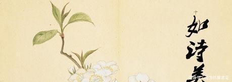 诗歌|中国文学两大源头之一,我国第一部诗歌总集——《诗经》