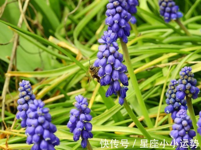 姻缘|未来2个月,被月老点鸳鸯,收获姻缘,享受爱情的3大生肖