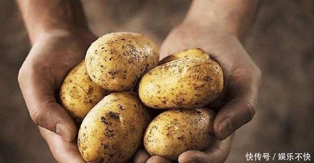 胎儿|这几种食物最容易导致胎儿畸形,孕妈们要切记!