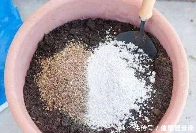 黄叶烂根|最不适合养花的几种土壤，千万不要用，否则黄叶烂根养不活