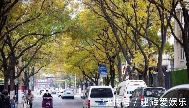 龙大帅|实探！太原市中心这片未开发的地块到底在搞什么名堂