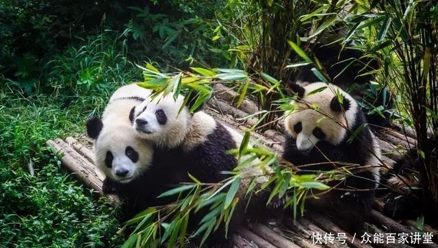 国内最让人向往的自驾路线，承包了整个中国的美