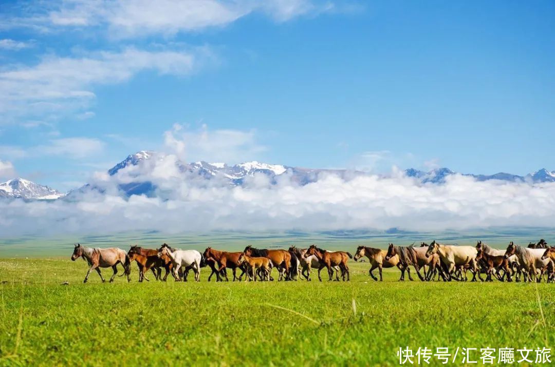 夏日新疆，究竟有哪些地方让人这么着迷？