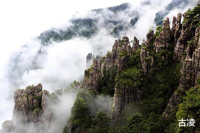 神农架到底有没有野人七八十年代,中国3次考察验证其真实性