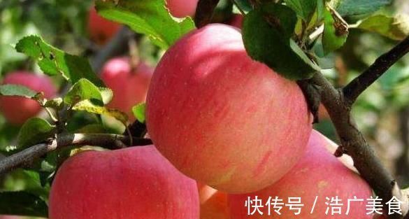 小知识|把苹果放进冰箱冻一冻，竟有那么神奇的用途，现在知道还不晚