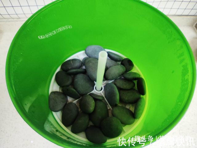 黄豆芽|用了我这办法，发黄豆芽不会变臭一次就成功，五天就长15厘米高！