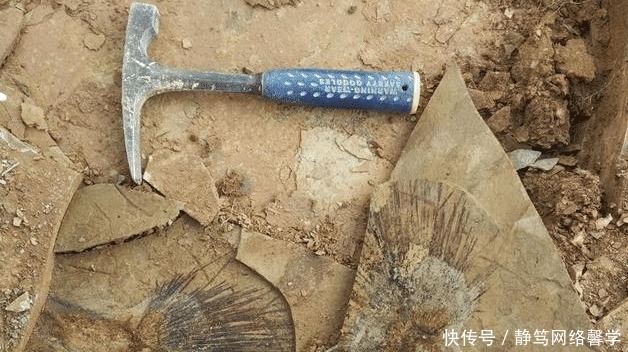 假如青藏高原不隆起,我国南方是什么环境?